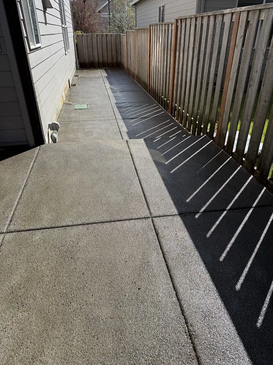Recent walkway work by AM Concrete, photo 2